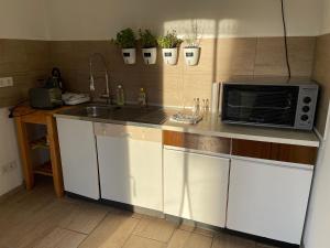a kitchen with a sink and a microwave on a counter at W Diamonds Ranch in Großräschen