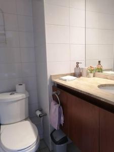 La salle de bains est pourvue de toilettes et d'un lavabo. dans l'établissement Agradable departamento, frente a la Quinta Vergara, à Viña del Mar