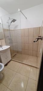 a bathroom with a shower and a toilet at Casa Rusu - Govandari -Self check in-24h in Reşiţa