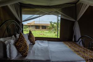 1 dormitorio con 1 cama y ventana grande en Serengeti Wild Camp, en Serengeti