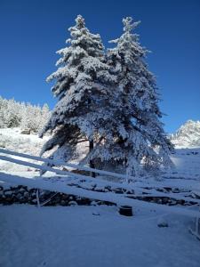 冬天的Baspa Valley Adventure Camp