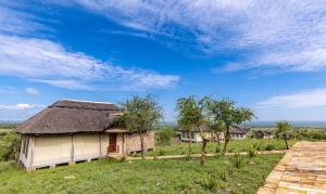 una casa antigua con techo de paja en un campo en Serengeti Safari Lodge, en Banagi