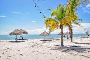 una spiaggia con ombrelloni di paglia e una palma di Laguna Lake House - Private Pool - Sleeps 12 - Elegant a Playa Blanca