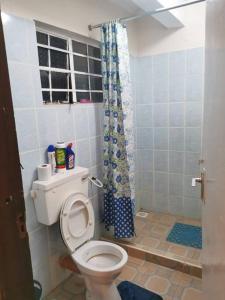 a bathroom with a toilet and a shower curtain at ECOVALE-KIJABE in Kijabe