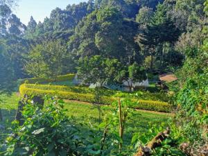 a garden in the middle of a mountain at Ecovale Kijabe - 3 Bedroom House Kiambu Great Forest Views in Kijabe