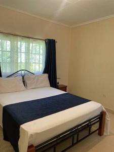 a bedroom with a large bed with a window at ECOVALE-KIJABE in Kijabe