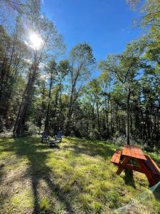 una mesa de picnic y un banco en un campo en Heated & AC Yurt, en Penn Yan