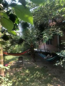 Garður fyrir utan Tara guesthouse - Sauraha,Chitwan