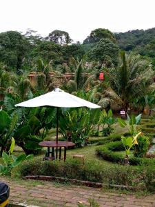 a picnic table with an umbrella in the grass at Duren medan Twbm Rumpin in Sawah