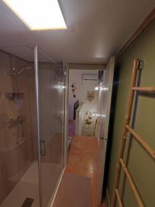 uma casa de banho com um chuveiro e uma cabina de duche ao nível do chão em Appartement cosy 2/4 personnes em La Roquebrussanne