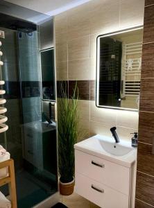 a bathroom with a sink and a shower with a mirror at Widok Zamku o poranku in Malbork