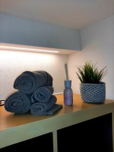 a pile of rolled towels on a shelf with a plant at Karibu b&b in Imola