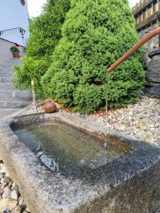 Zdjęcie z galerii obiektu Landhaus Rieser w mieście Bad Hofgastein