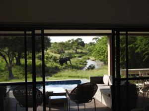 赫克托斯普雷特的住宿－Barn Owl Lodge, Mjejane Game Reserve, Greater Kruger Park，客厅享有远处大象的景色