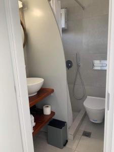 uma casa de banho com um WC, um lavatório e um chuveiro em Thronos em Vlychada