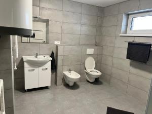 a bathroom with a toilet and a sink at Kozákov Apartmány - druhé patro 