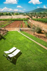 a lawn with two white benches on the grass at Poggiolivi Agriturismo Bio in Maremma in Alberese