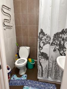a bathroom with a toilet and a shower curtain at Promenad Burabay 45P in Borovoye