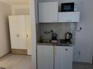 Kuchyňa alebo kuchynka v ubytovaní Bed&Breakfast Đurđan