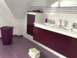 a bathroom with a sink and a counter with a trash can at Villa des Roseaux in Bénodet