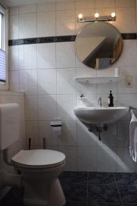 ein Badezimmer mit einem Waschbecken, einem WC und einem Spiegel in der Unterkunft Sögel HA01 in Sögel