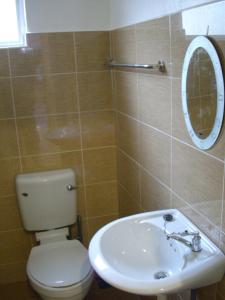 y baño con aseo, lavabo y espejo. en Greenleaf Angsana Homestay, en Jerantut