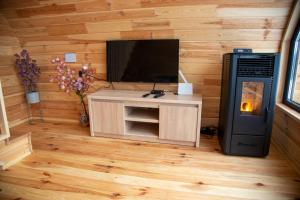 Un televizor și/sau centru de divertisment la Cez A-Frame