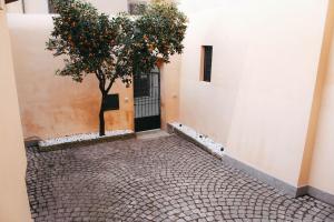 a tree in front of a building with a door at Casa Vacanze Le Volte Tuscania in Tuscania