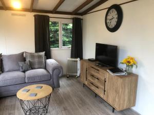 a living room with a couch and a tv at 8F Lakeside Lodge Caer Beris Builth Wells in Builth Wells