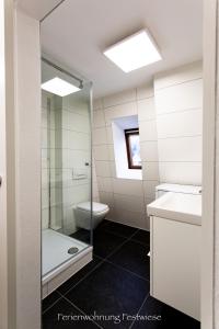 a bathroom with a glass shower and a toilet at FESTWIESE - modernes Apartment nahe Neustadter Innenstadt in Neustadt an der Weinstraße +14 photos