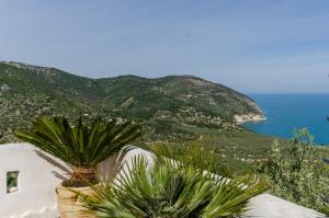 een huis met een palmboom aan de zijkant van een berg bij Casa Mattinatella in Mattinata