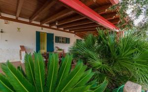 een huis met groene planten ervoor bij Casa Mattinatella in Mattinata +28 foto's
