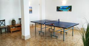 Tiện nghi bóng bàn gần/tại Villa Meraki