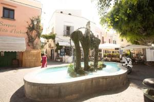 Πισίνα στο ή κοντά στο Miniappartamento centro storico Forio d'Ischia