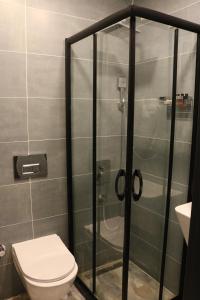 une salle de bain avec une douche en verre et des toilettes dans l'établissement Aura Hotel Taksim, à Istanbul
