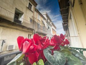 eine Topfpflanze mit roten Blumen vor einem Gebäude in der Unterkunft Ferrari Holiday House - Casa Vacanza nel cuore di Campobasso in Campobasso