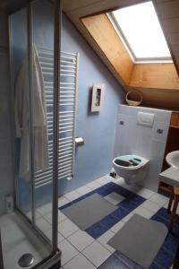 uma casa de banho com um WC e uma cabina de duche em vidro. em Appartement Chez l'apiculteur em Travers