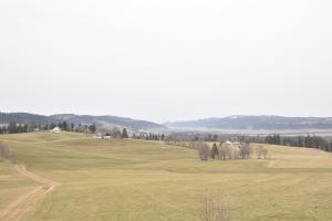 a green field with houses on a hill at Appartement Chez l'apiculteur in Travers