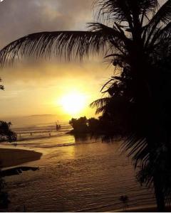 a sunset on a beach with a palm tree at Scorpion Hill Lodge in Busua