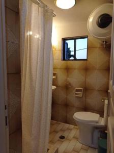 a bathroom with a toilet and a shower curtain at Villa Lidi in Stavros