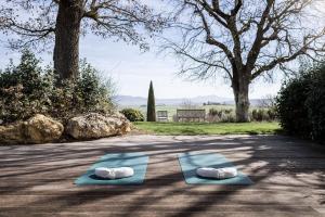 two yoga mats on the ground in a park at ADLER Thermae in Bagno Vignoni +74 photos
