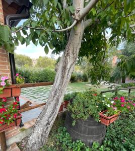 A garden outside Villa Rosada
