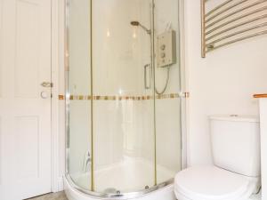 łazienka z kabiną prysznicową i toaletą w obiekcie Plum Cottage w mieście Colebrooke +12 zdjęć