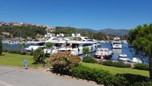 a bunch of boats docked in a harbor at Les Terrasses De Vignola in Porto-Vecchio