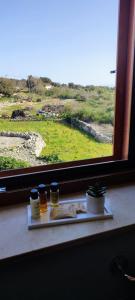 Príroda v okolí of the bed and breakfast