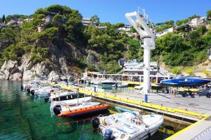 een groep boten aangemeerd op een dok in het water bij V&V LLORET-APARTAMENTO EUROPA para 6PAX con jardín y piscina comunitaria,barbacoa,120m playa Canyelles in Lloret de Mar