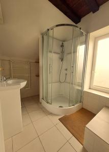 a bathroom with a shower and a sink at Clos de Bel Air in Meung-sur-Loire