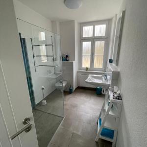 ein Bad mit einer Dusche, einem Waschbecken und einem WC in der Unterkunft Moderne Gästewohnung "Am Weinberg"mit Terrasse in Oschatz