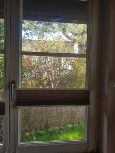 a window with a view of a tree at Haus Abendsonne in Barth