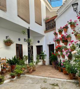 dziedziniec z doniczkami na boku budynku w obiekcie Amal Casa de huéspedes w Kordobie